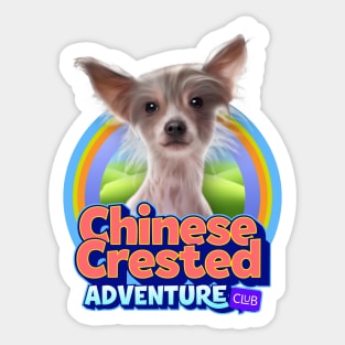 Chinese Crested Dog Sticker